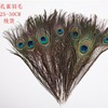 Factory direct selling 25-120cm natural peacock feathers DIY flower arrangement of various lengths of peacock hair spot supply
