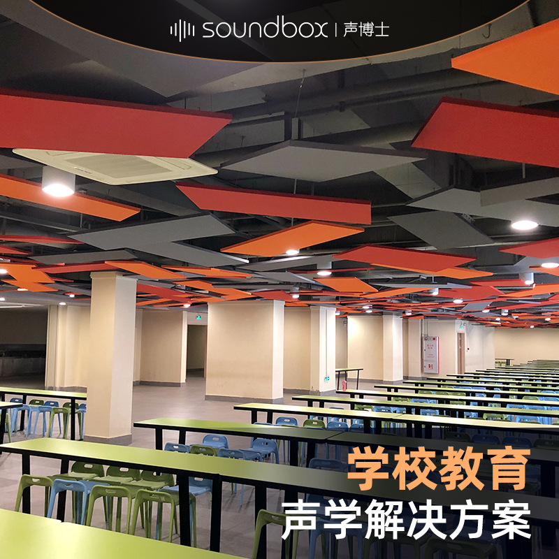 声博士学校课室吸音处理报告厅体育馆声学解决方案天花墙面吸音板
