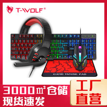 T-WOLF����TF800�Α���/������������Z���Z�l������I�P���C��