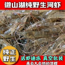 微山湖淡水新鲜鲜活水产急冻小虾蛄/琵琶虾醉虾批发
