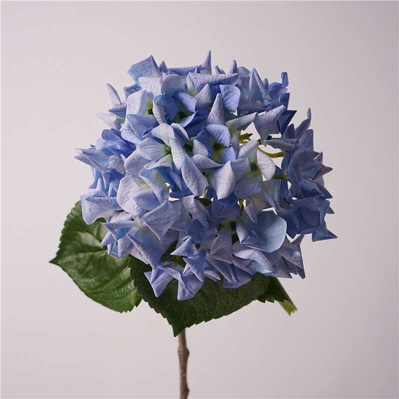 촉촉한 수국 컬링 - 다크블루