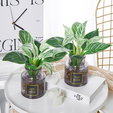�K���ˮ��ֲ���҃ȿ͏d���B���~��荾G����ˮ�B�����՚��������