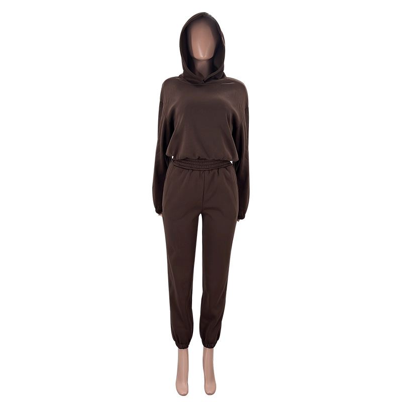 Autumn Winter Solid Color Hooded Long Sleeve Sweater Women Clothing Casual Trousers Suit 10 Autumn Winter Solid Color Hooded Long Sleeve Sweater Women Clothing Casual Trousers Suit