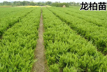 һlԪǰĹǰ䉞^䉞ذؘĹǰɰ؂ȰС