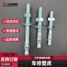 镀锌车修壁虎膨胀螺丝4.8级镀锌螺杆式电梯膨胀螺丝镀锌车修壁虎