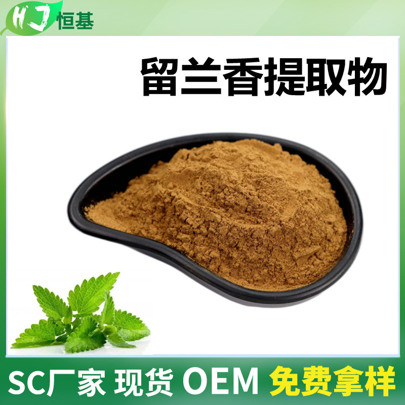 留兰香提取物 10:1 绿薄荷粉 留兰香粉 1㎏装 SC厂家 留兰香提取