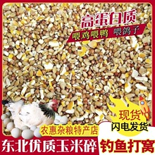 高梁麦子玉米碎混合喂鸽子粮喂鸡玉米碎喂鸡鸭鹅饲料鸡兔仓鼠粮食