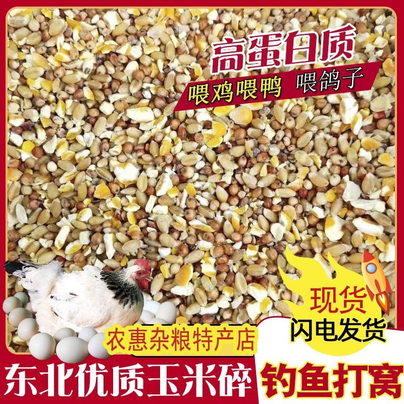 高梁麦子玉米碎混合喂鸽子粮喂鸡玉米碎喂鸡鸭鹅饲料鸡兔仓鼠粮食