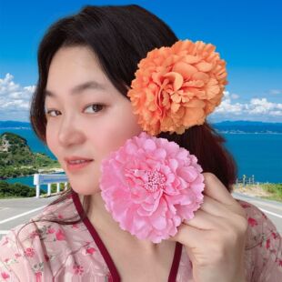 �羳�����Ї��Lĵ�����^���h��߅�A�赸������ׁ��ȼٻ���l�