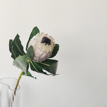 Ʒ�|���滨�ܼٻ����� ������ �͏d������ײ廨ƿ��ˇ�[�OƷ