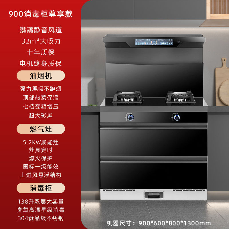 900 소독 캐비닛 전용 모델(7단 가변 주파수 과급) - 파이프 천연가스 + 좌우 연기 배출 [ 공동보증]