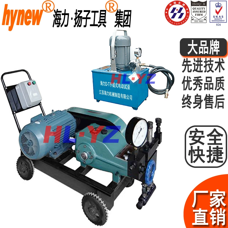 Jiangsu Haili завод прямых продаж 3DY большой расход электрический испытательный насос, 3DSY портативный электрический испытательный насос