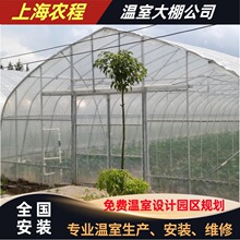农业种植大棚塑料布 温室大棚设备 种植大棚框架 专业制造