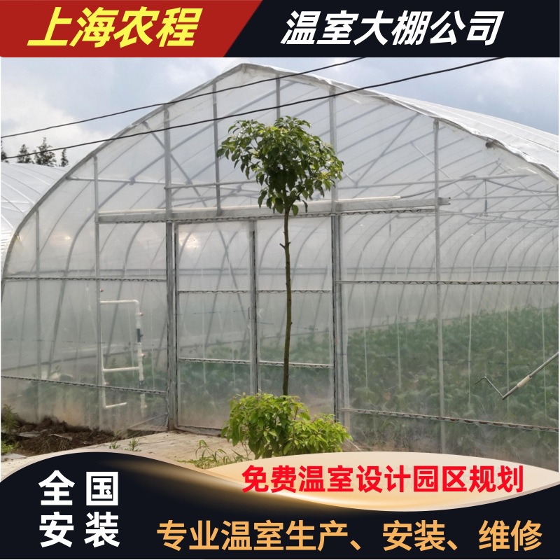 农业种植大棚塑料布 温室大棚设备 种植大棚框架 专业制造