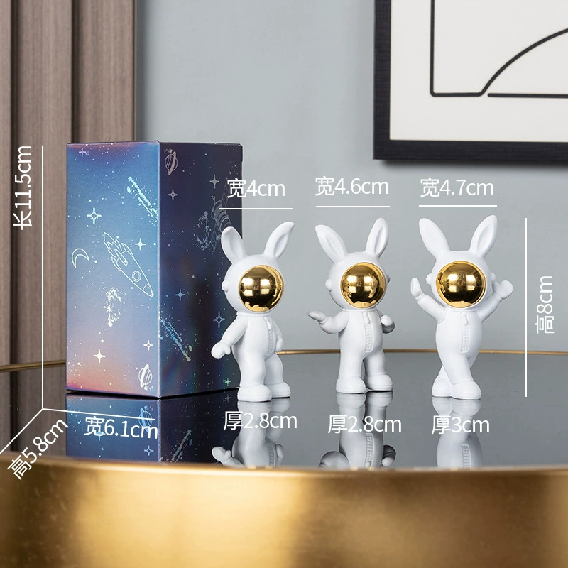 Astronaut, set, pack, Birthday gift