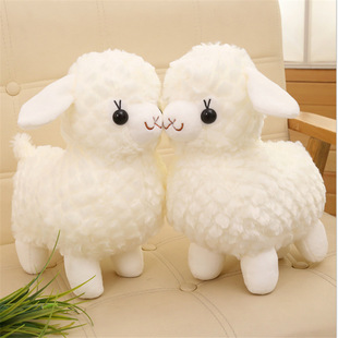 �¿��ɫС�d����񄹫��ץ�C��������ë�q�����