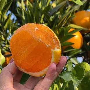 �a��ֱ�l�����M��Ě�����r����ˮ���ք�������������lһ�I���l