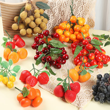 ��������֦������֦��֦�^ģ�͔zӰ���ߙ����b������߽�