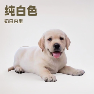 ��������������w��Ȯ��ȮС��ͬ���Ȯ���ﹷ�̰�ɫ��ɫ����ɫ