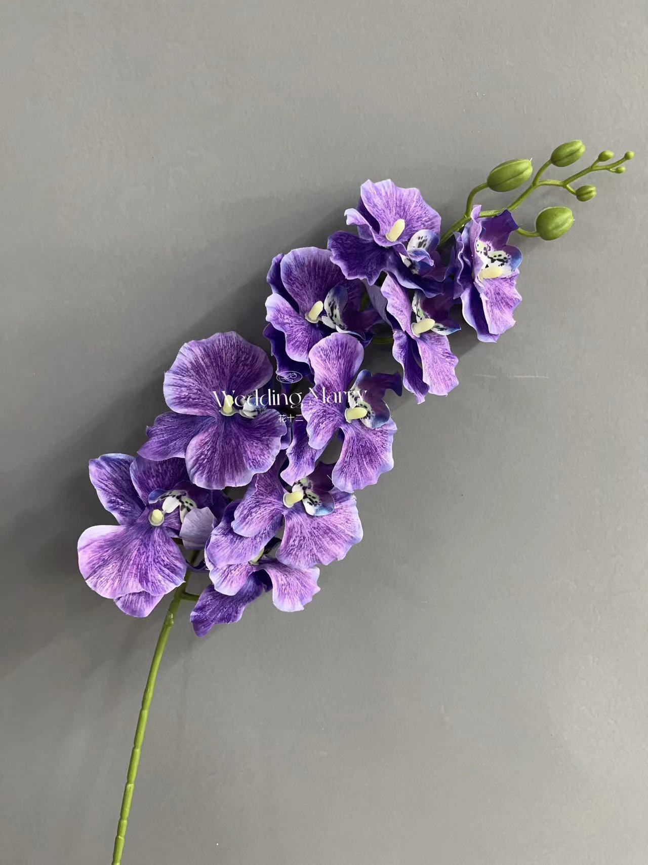 微信图片_20240909100929