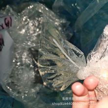 Һ�w혶����z ��ĥ�ͺ��Ժ� �m�����ϸ��� 늾��^���϶���ϩ���z