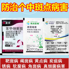 �а��S�c�������S�������S�c���а߲��ڰ߲��ְ߲��S�߲�������