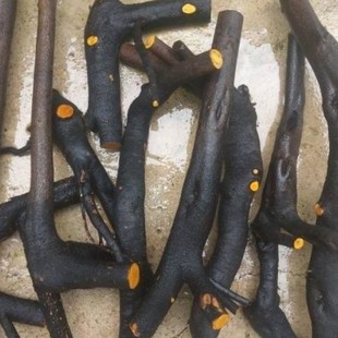 �������辰�Gֲĸ���옶̼���҃��Ϙ��������������������Ӱ�����