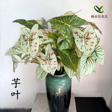 婚庆仿真绿植叶子榆叶彩芋叶3D打印胶片森系叶子花艺软装装饰绿叶