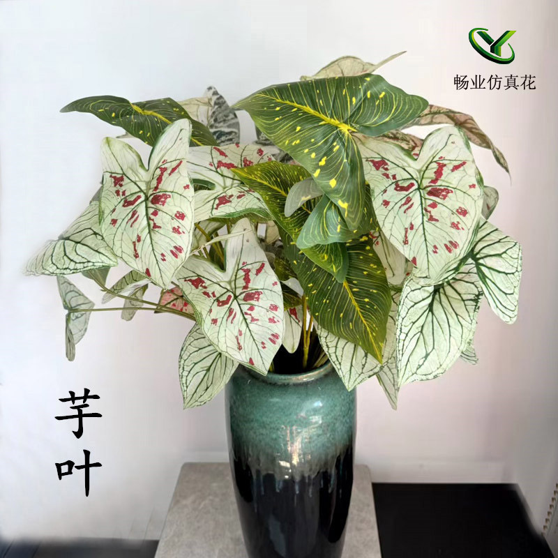 婚庆仿真绿植叶子榆叶彩芋叶3D打印胶片森系叶子花艺软装装饰绿叶