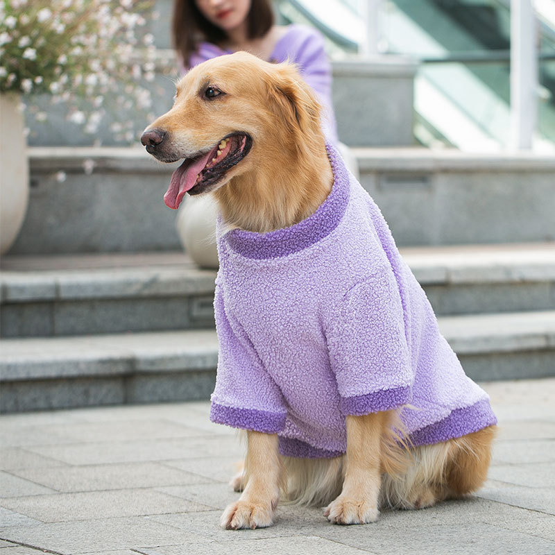 Otoño y invierno ropa de perro de pelo dorado Samoan de dos patas más ropa de peluche cálida de peluche ropa de mascotas de perros grandes