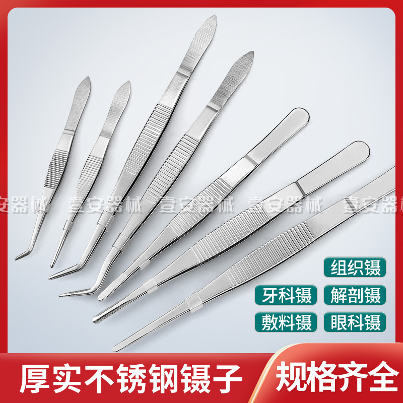 Stainless Steel Medicine Straight Pipancia Anatomy Subtrimer…