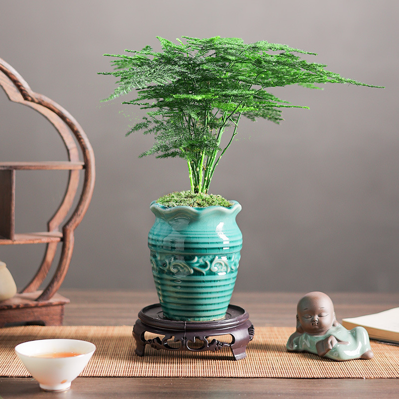 Bambou + bassin bleu de porcelaine de jade + base de mousse