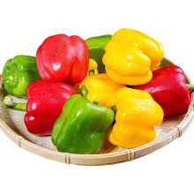 ɽ�|�����ˮ���ʽ��������]���r���ԟ��\��һ�����l