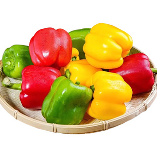 ɽ�|�����ˮ���ʽ��������]���r���ԟ��\��һ�����l