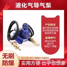 12v液化气泵倒气泵24伏丙烷充气泵车载小型气泵裸机裸机带遥控
