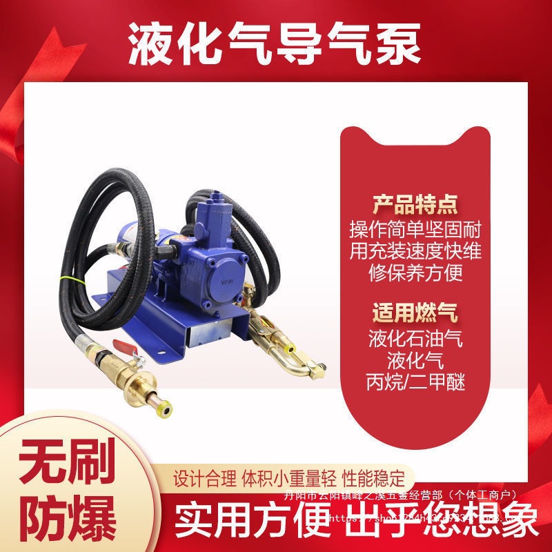 12v液化气泵倒气泵24伏丙烷充气泵车载小型气泵裸机裸机带遥控