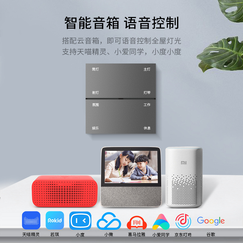 Doodle Zigbee smart switch PC network gateway hotel home decor smart switch plug