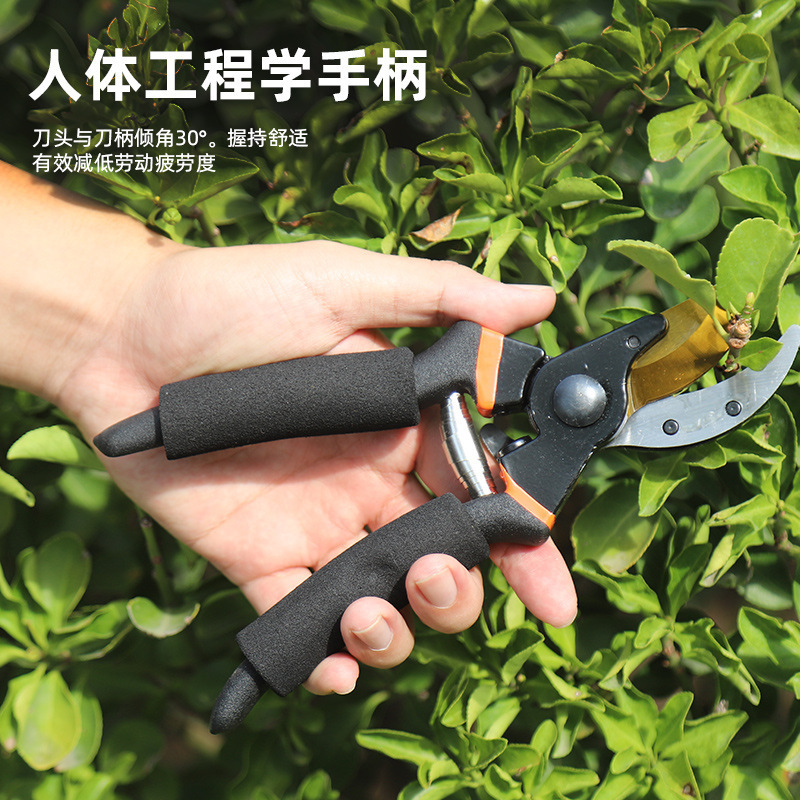 亚马逊剪枝剪刀园艺果树修树枝剪刀园林强力花艺花枝剪子省力神器|undefined