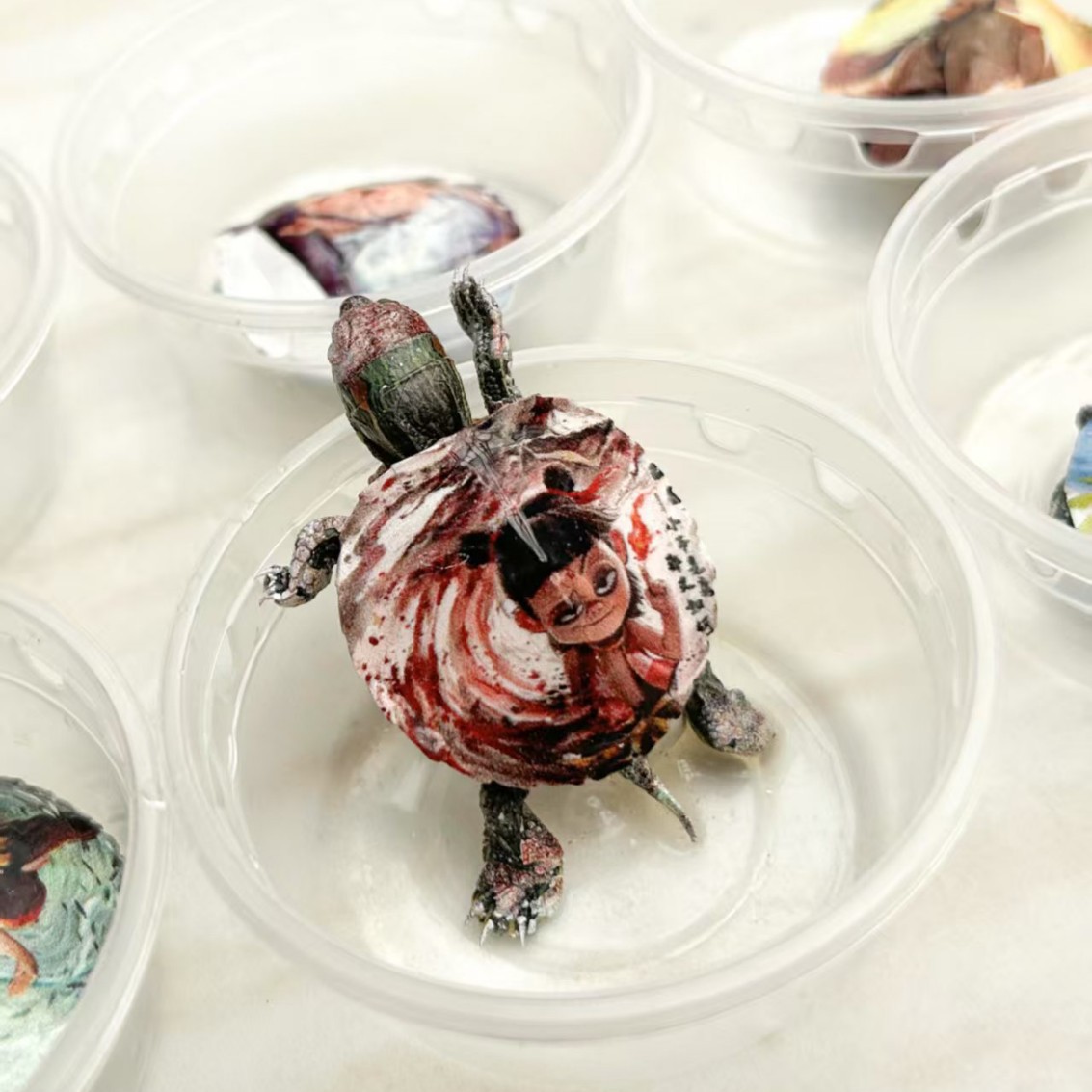 2025-02-24 20:45:18.jpg