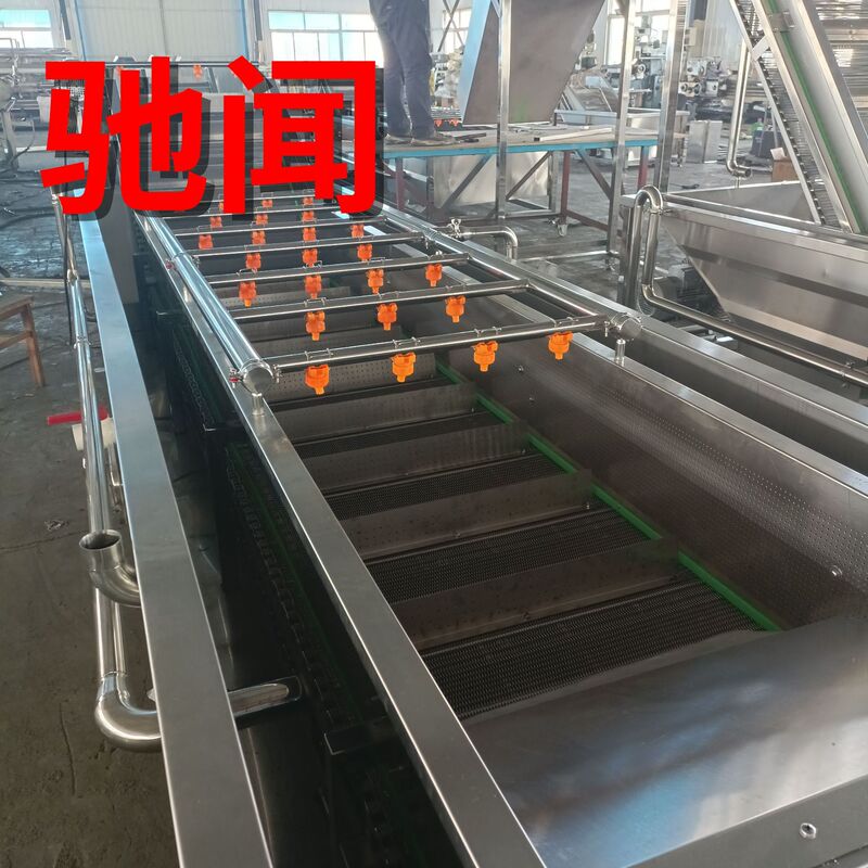 Schisandra Bubble Cleaning Machine, Ozone Chain Plate Blackcurrant Bubble Cleaning Machine, Berry Cleaning Equipment Schisandra Bubble Cleaning Machine, Ozone Chain Plate Blackcurrant Bubble Cleaning Machine, Berry Cleaning Equipment