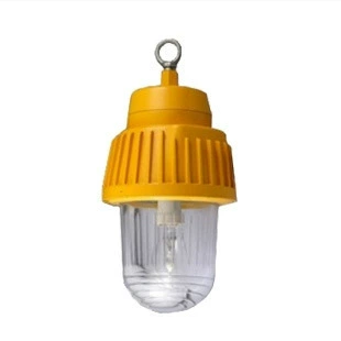 Explosion-proof platform light/BPC8730-J15