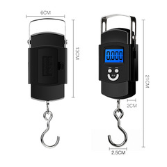 Mini Portable Electronic Scale High Precision Home Use Handheld Scale 50kg Small Spring Accurate Fishing Courier Hook Scale