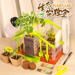 Children's scientific vegetable planting laboratory set planting observation seed germination and growth potted primary school students ecological laboratory