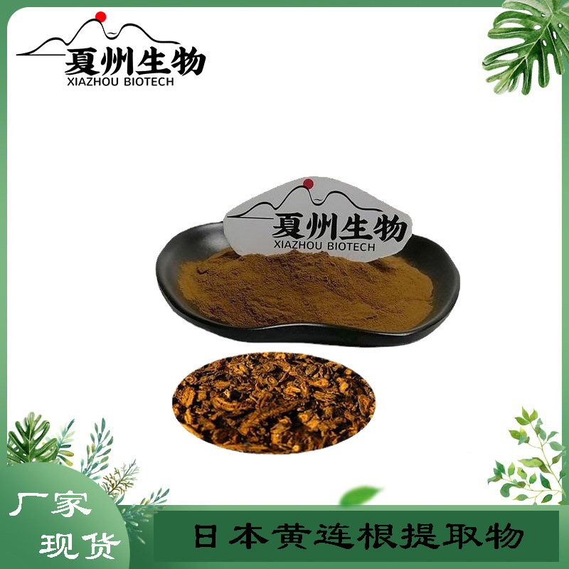 日本黄连根提取物 10/20:1  日本黄连(COPTIS JAPONICA)根提取物