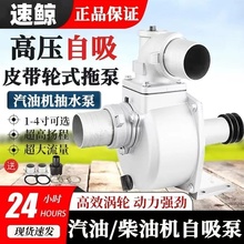 Xϱø߉rÓP̹Ƥ݆ˮóˮCrȴ