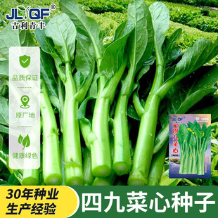 �ļ�����ķN�ӿ����͝���˴����ļ����r���ľŲ����̨��˷N��
