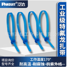 PLT2S-M76���_�ط��� �F�������� �͸ߜ�170�� �����|���g