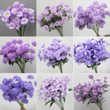 10֦�b��ɫϵ���ķ��滨���Ż�·����ˇ�bٻ��Ƽtɫ��c�b�