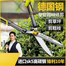 �@ˇ������@�ֻ�����֦���޼�ƺ�޼���֦ƺ���G�h���]��