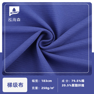 ᘿ��ݼ���������T������ 250g�y�������b�ߠ�����_�y�ӗl����